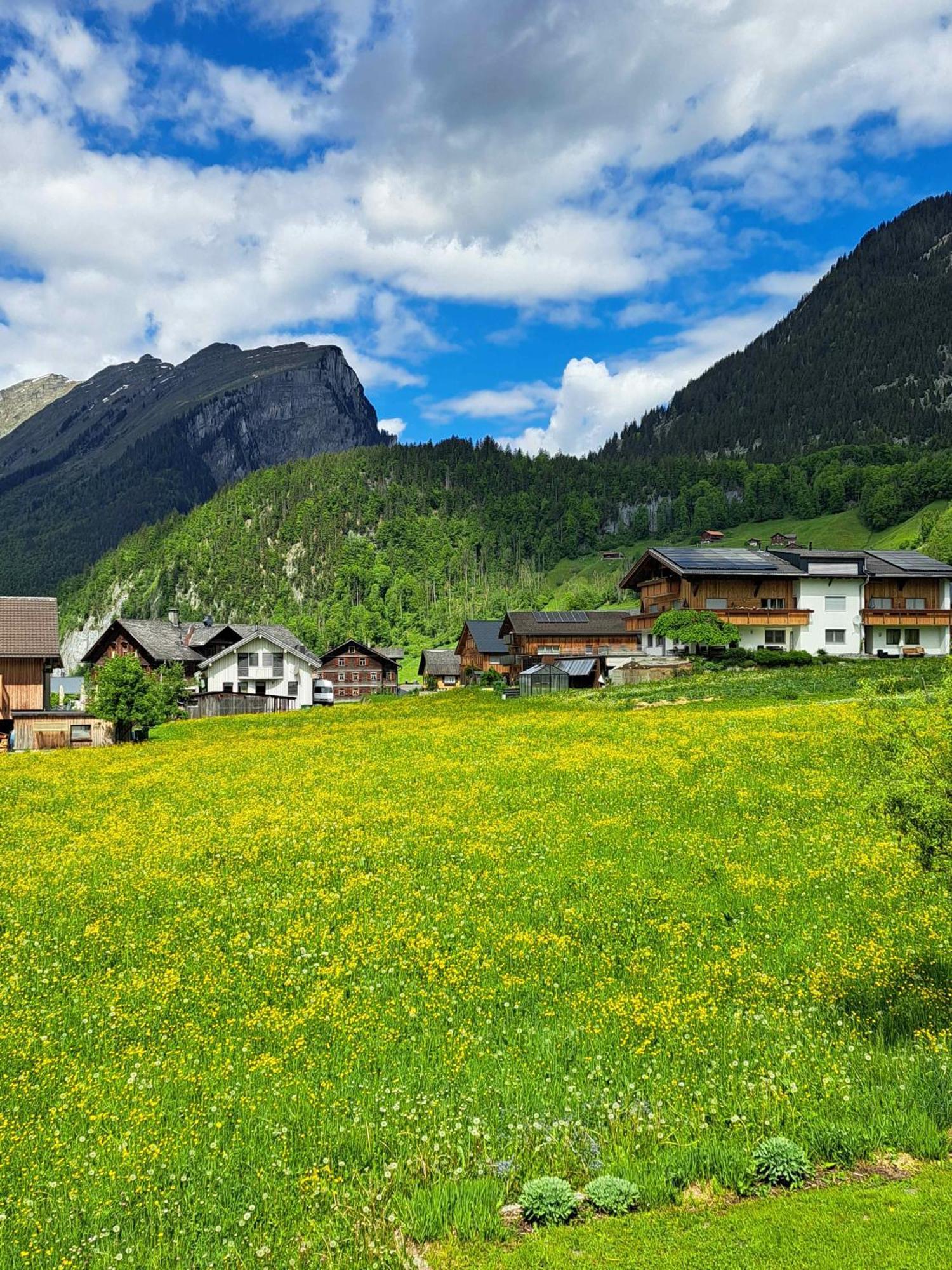 Familienfreundliches Bregenzerwaelderhaus Vila Au (Vorarlberg) Exterior foto