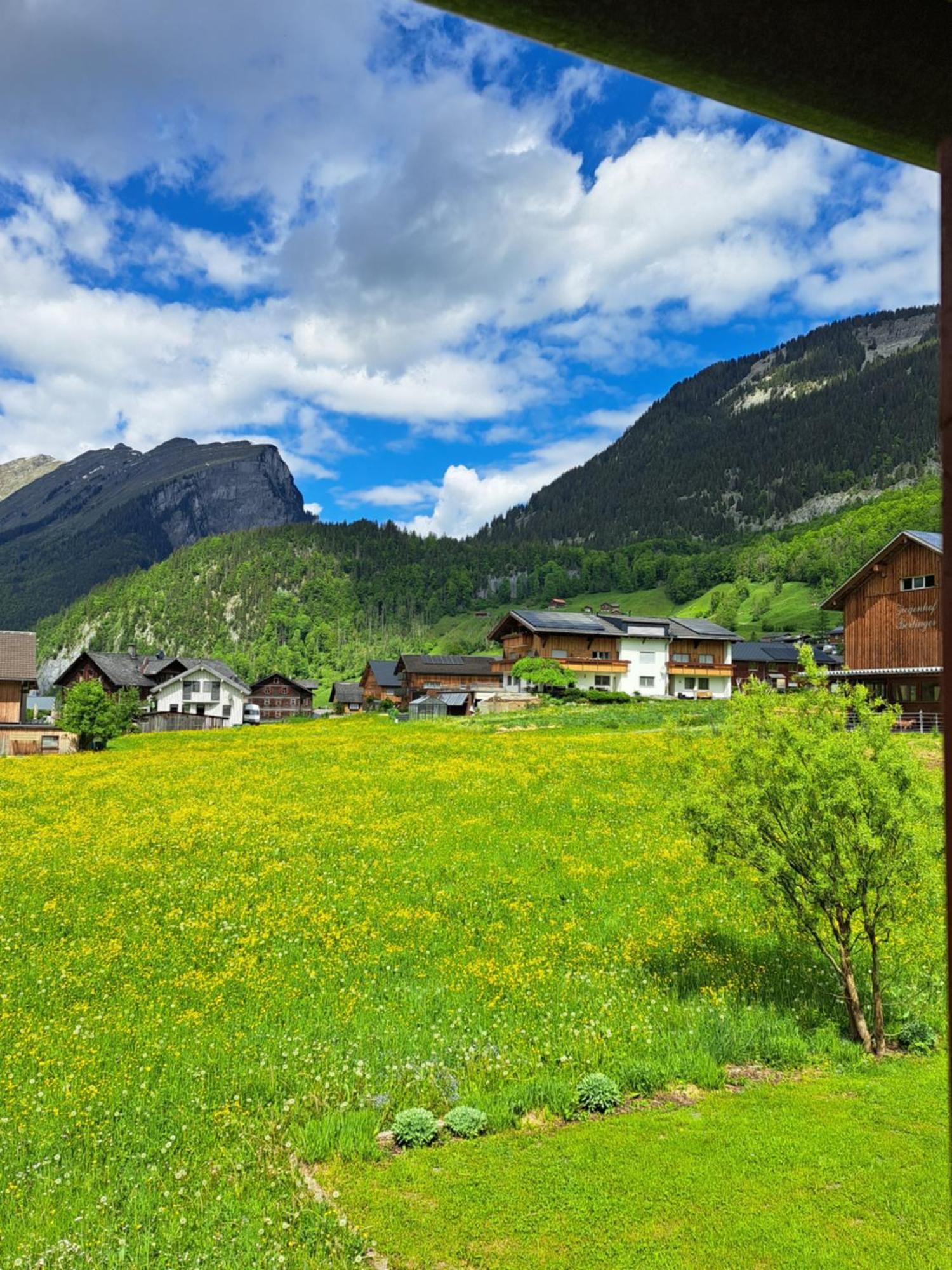 Familienfreundliches Bregenzerwaelderhaus Vila Au (Vorarlberg) Exterior foto