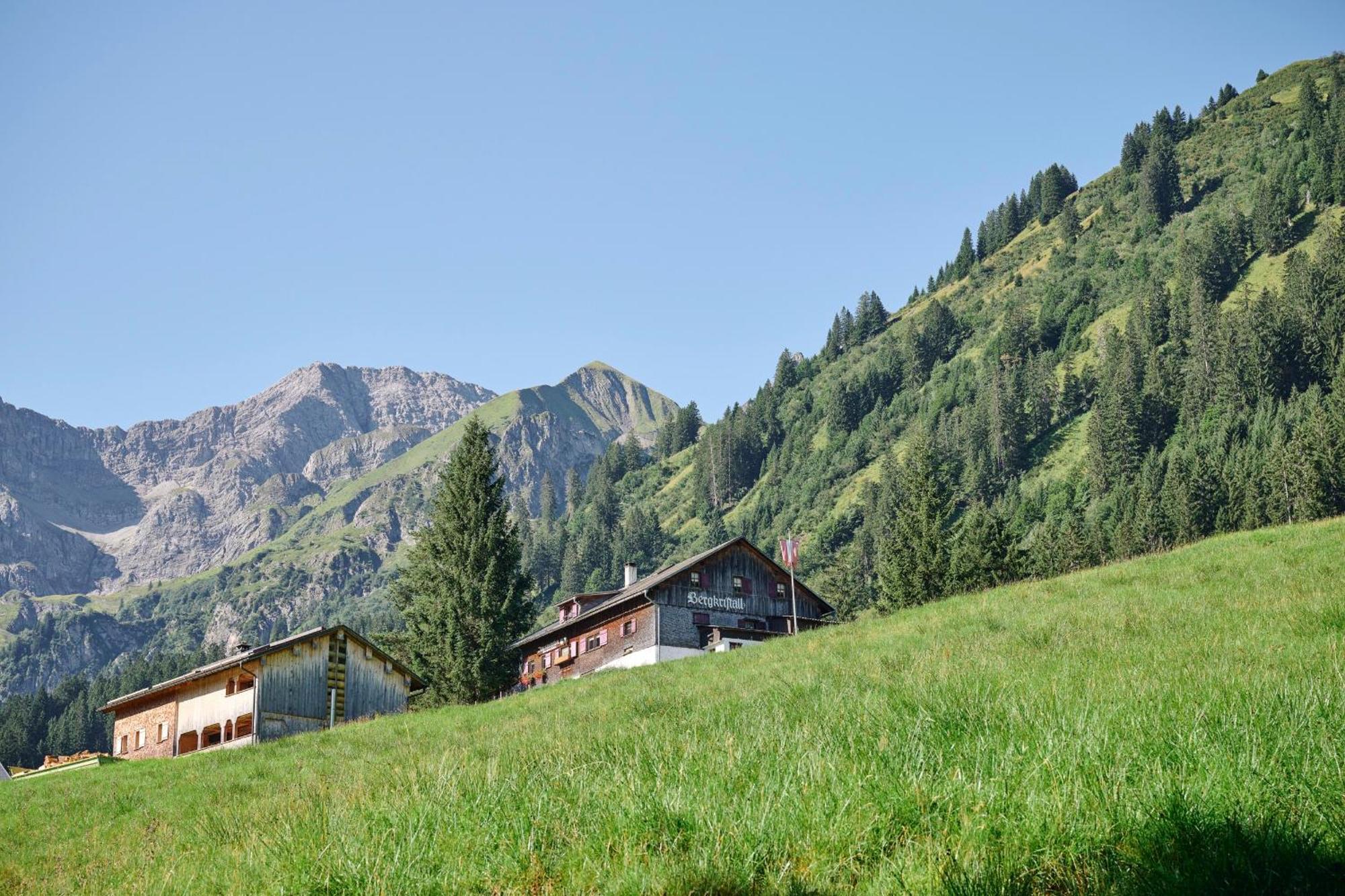 Familienfreundliches Bregenzerwaelderhaus Vila Au (Vorarlberg) Exterior foto